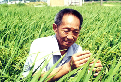 把石油補貼給農(nóng)民 把石油補貼給農(nóng)民